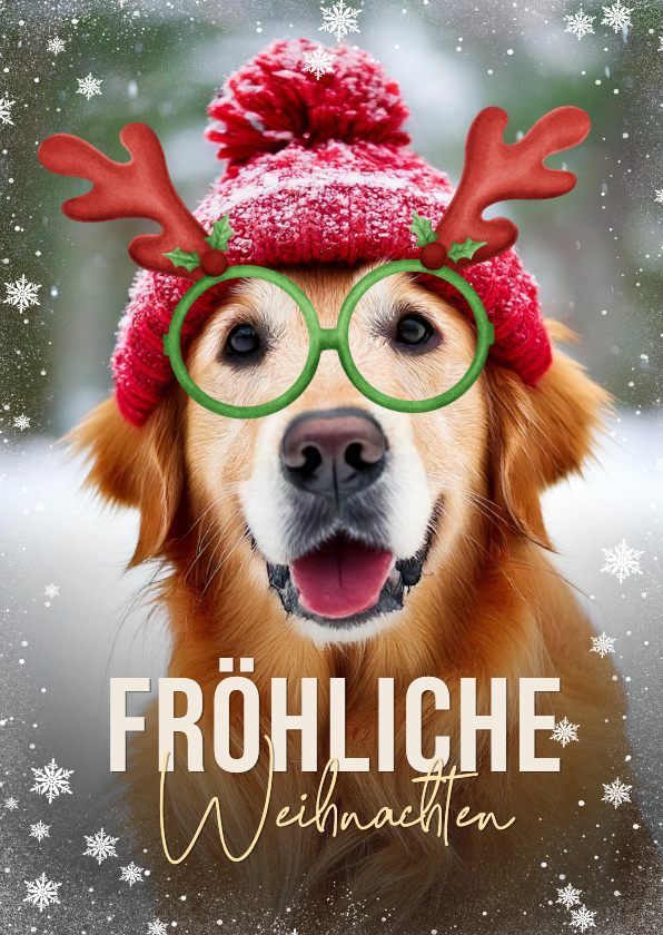 Fotokarten - Fotokarte Weihnachten Hund mit Weihnachtsbrille