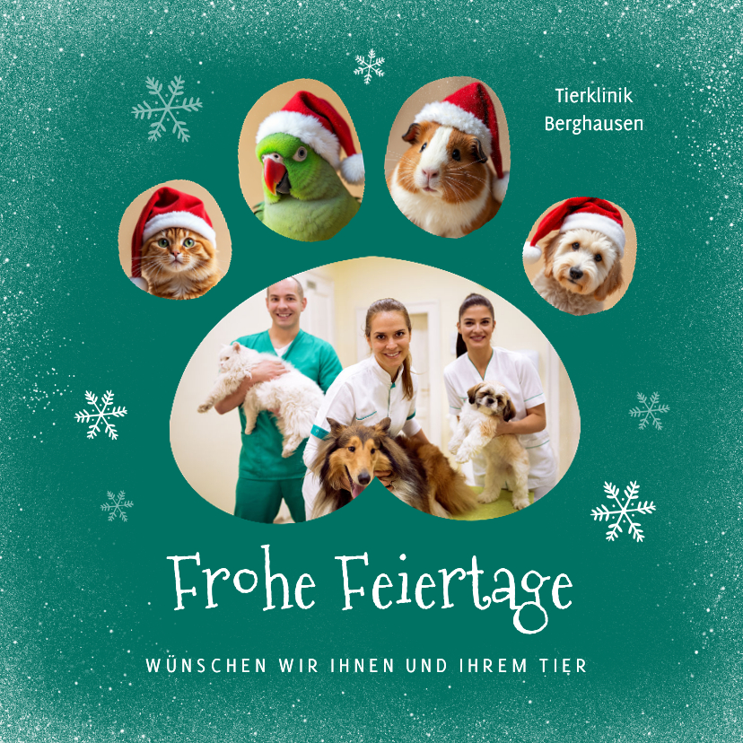 Geschäftliche Weihnachtskarten - Weihnachtskarte Tierklinik 'Frohe Feiertage' Haustiere