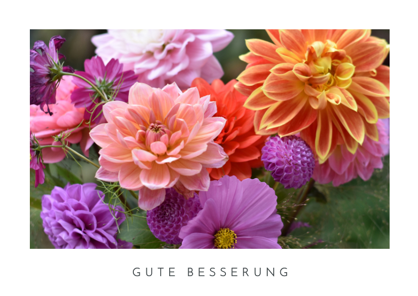 Gute Besserung - Gute Besserungskarte Naturfoto Blumen