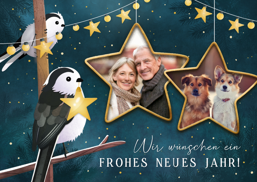 Neujahrskarten - Neujahrskarte Sternefotos & Vögel