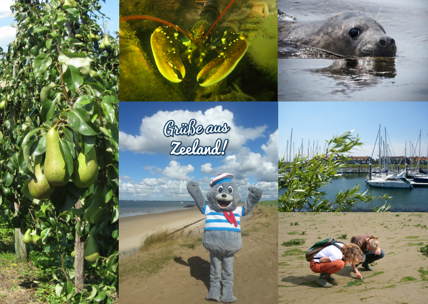 Urlaubskarten - Foto-Urlaubskarte 'Grüße aus Zeeland'