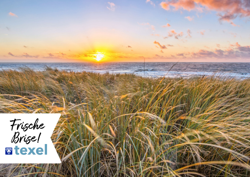 Urlaubskarten - Postkarte von Texel mit Dünengras