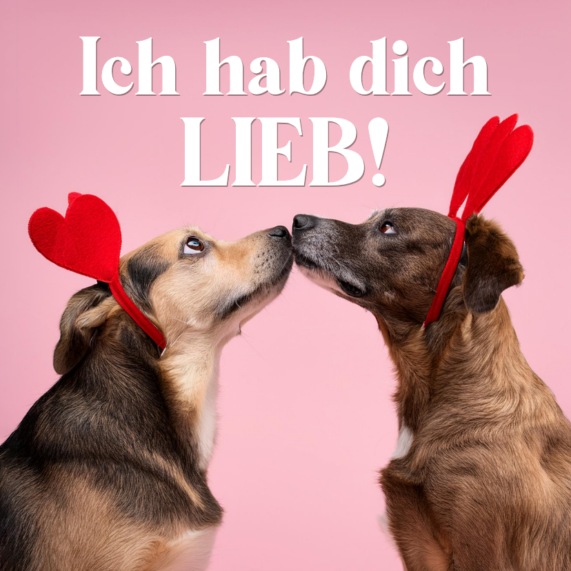 Valentinskarten - Valentinskarte 'Ich hab dich lieb' 2 küssende Hunde 