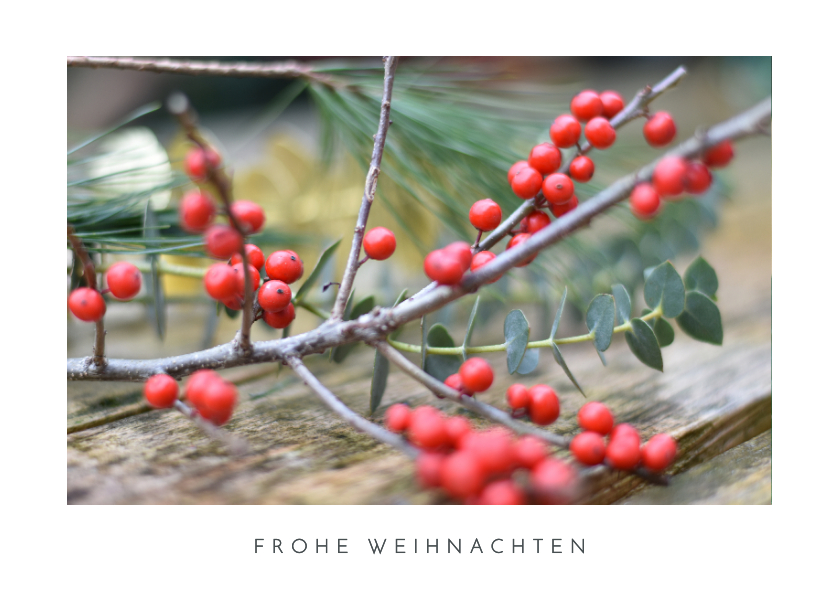 Weihnachtskarten - Grußkarte 'Frohe Weihnachten' Naturfoto Beerenzweige