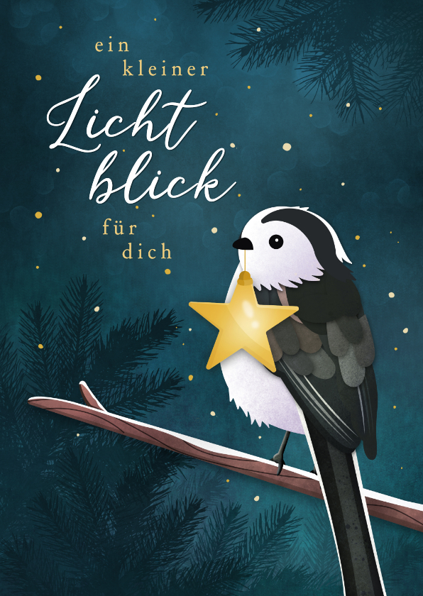 Weihnachtskarten - Weihnachtsgrußkarte 'Lichtblick' Vogel mit Stern