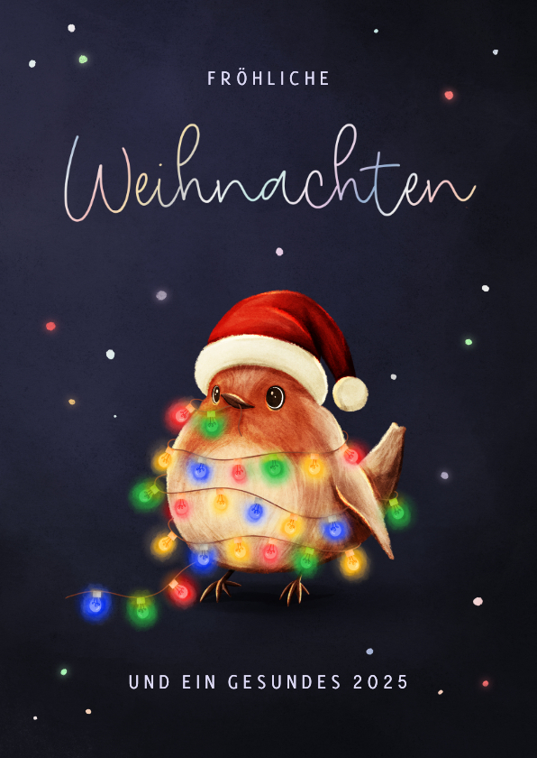 Weihnachtskarten - Weihnachtskarte bunte Lichterkette Rotkehlchen mit Mütze