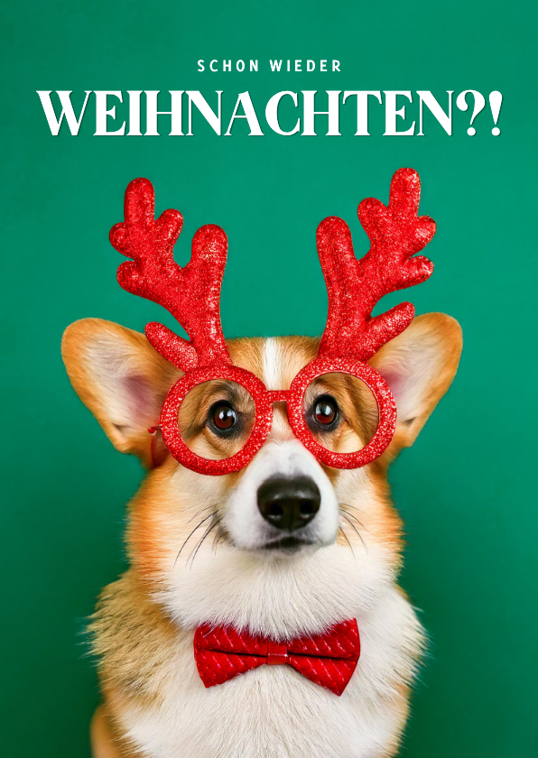 Weihnachtskarten - Weihnachtskarte Corgi 'Schon wieder Weihnachten?!'