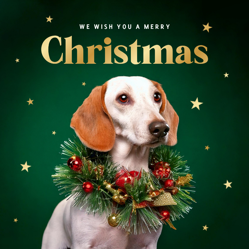 Weihnachtskarten - Weihnachtskarte Hund mit Weihnachtskranz 'Merry Christmas'