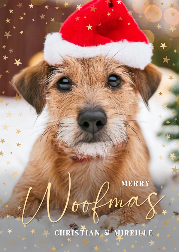 Weihnachtskarten - Weihnachtskarte lustiger Hund mit Weihnachtsmütze