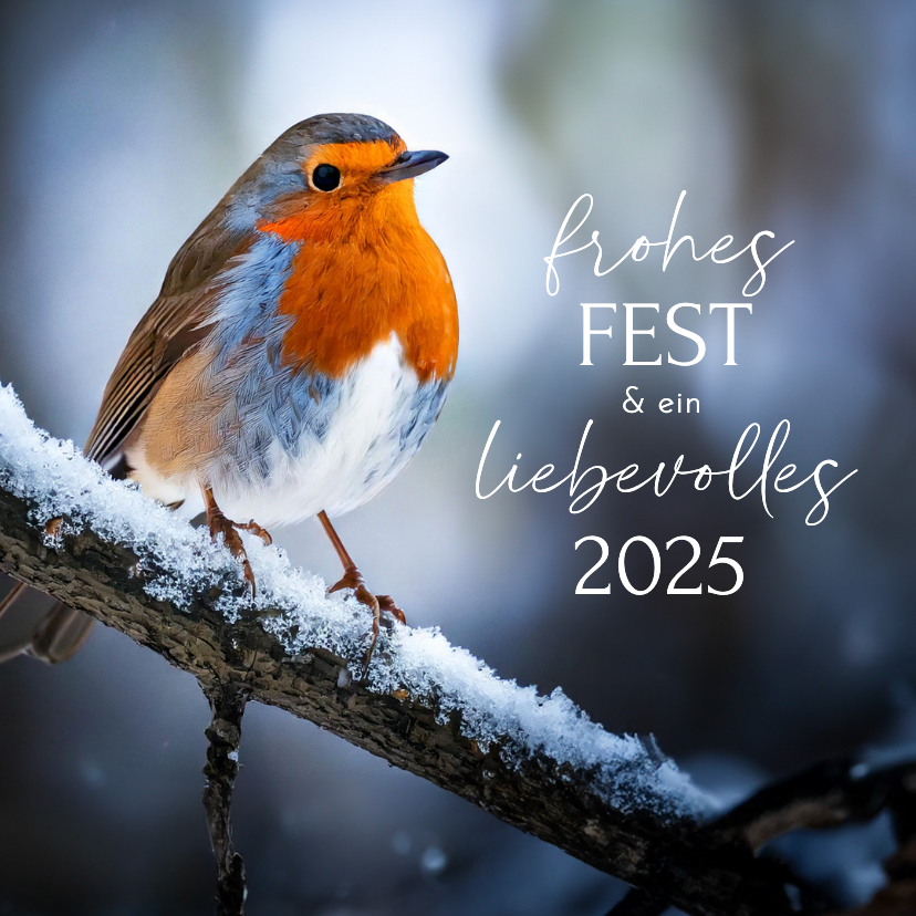 Weihnachtskarten - Weihnachtskarte Rotkehlchen im Schnee 'Frohes Fest'