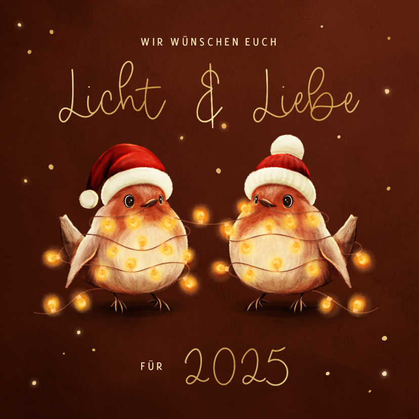 Weihnachtskarten - Weihnachtskarte Rotkehlchen Licht & Liebe Lichterkette